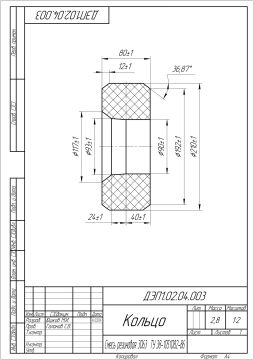 ДЭП1.02.04.003 Кольцо (1)