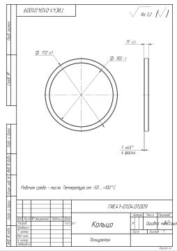 ГИС41-01.04.01.009 - Кольцо (1)_page-0001